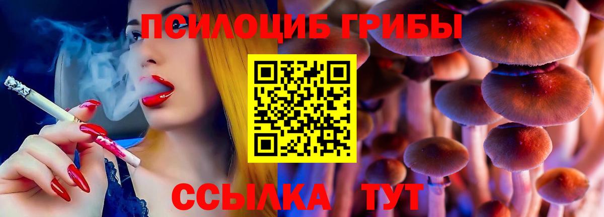 Псилоцибиновые грибы Magic Shrooms  Вход с VPN  Псилоцибиновые грибы Cubensis  Миллерово 